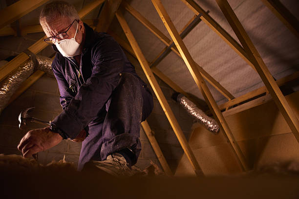 Best DIY Insulation Kits and Guidance in Runnemede, NJ